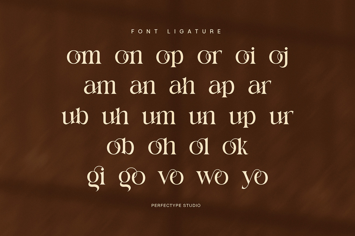 Comig Elegant Serif Font, a Serif Font by Perfectype (Photo 8 of 8)
