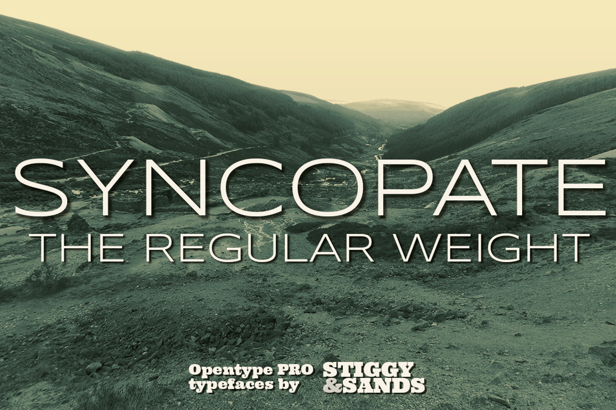Syncopate Pro - Regular