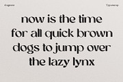 Eugusto Display Typeface, a Sans Serif Font by Typetemp Studio (Thumbnail 13 of 26)