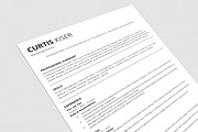ATS Friendly Resume / CV Template, a Resume Template by Anjum Ilyas (Thumbnail 5 of 9)