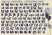 Categories Elegant Font, a Sans Serif Font by 177Studio (Thumbnail 7 of 8)