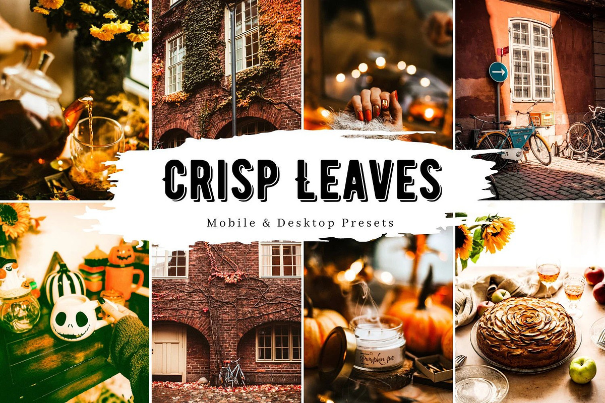10 Crisp Leaves Lightroom Presets, a Preset Add-On by LucaTheme (Photo 1 of 9)