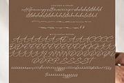 Radiance Berlines, a Script Font by operatype.co (Thumbnail 13 of 15)