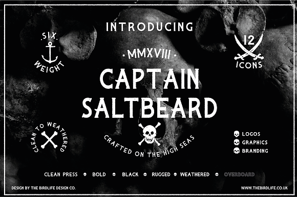 CAPTAIN SALTBEARD preview 7