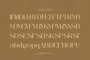 Diggie Brown | Modern Display Serif, a Serif Font by Denustudios (Thumbnail 11 of 12)