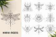 530 Vector Mandala Ornaments, an Animal Illustration by pixaroma (Thumbnail 14 of 55)