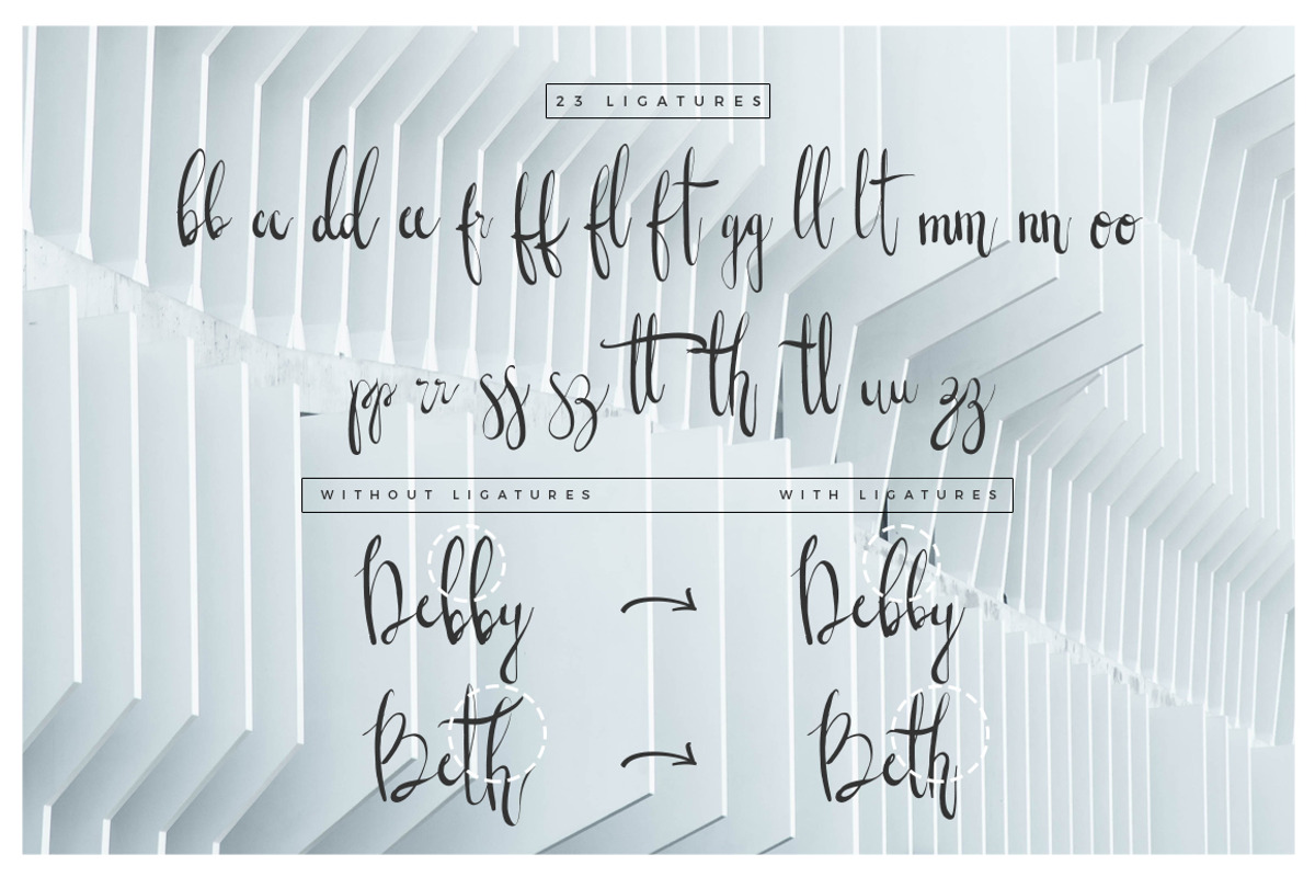Wonderland Fonts Pack & Branding Kit, a Script Font by Graphicdome (Photo 81 of 118)