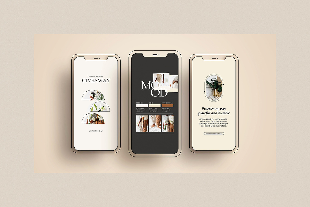 Instagram Feed Templates for Coaches, a Social Media Template by Mirazz (Photo 24 of 29)