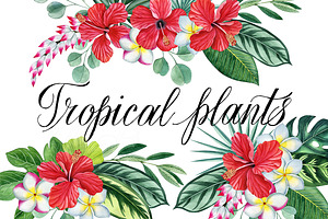 Tropical plants set