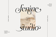 Treifany, a Serif Font by Attract Studio (Thumbnail 6 of 20)
