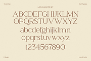 NV NERIVO – Modern Serif Font, a Serif Font by Novaratype (Thumbnail 3 of 15)
