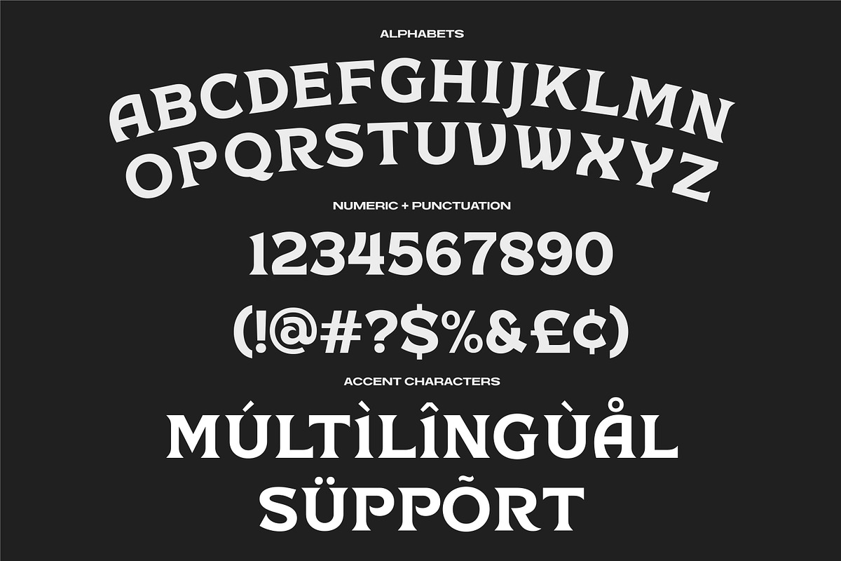 Chrone Display Font, a Serif Font by Genetype (Photo 8 of 8)