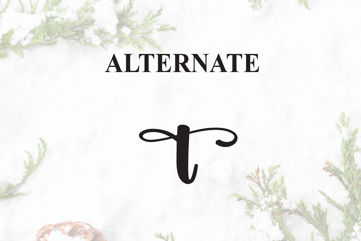 Winter | Script Font, a Handwritten Font by Scratchones (Photo 8 of 9)