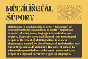 Wermino | Display Typeface, a Serif Font by Pentagonistudio (Thumbnail 11 of 11)