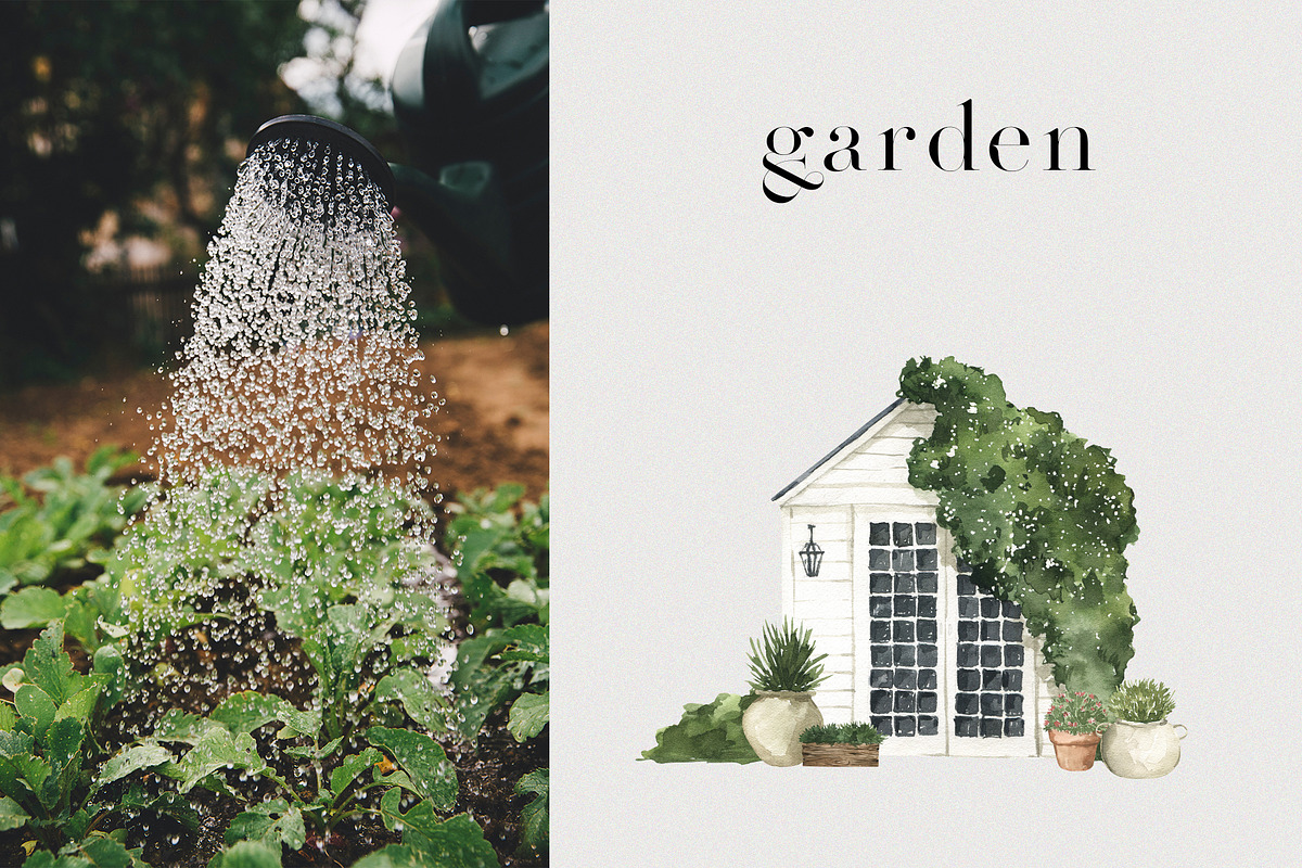 Watercolor Garden vol1, a Seasonal Illustration by LiChu Art (Photo 11 of 12)
