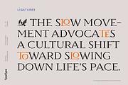 TT Ricordi Marmo, a Serif Font by TypeType (Thumbnail 7 of 15)