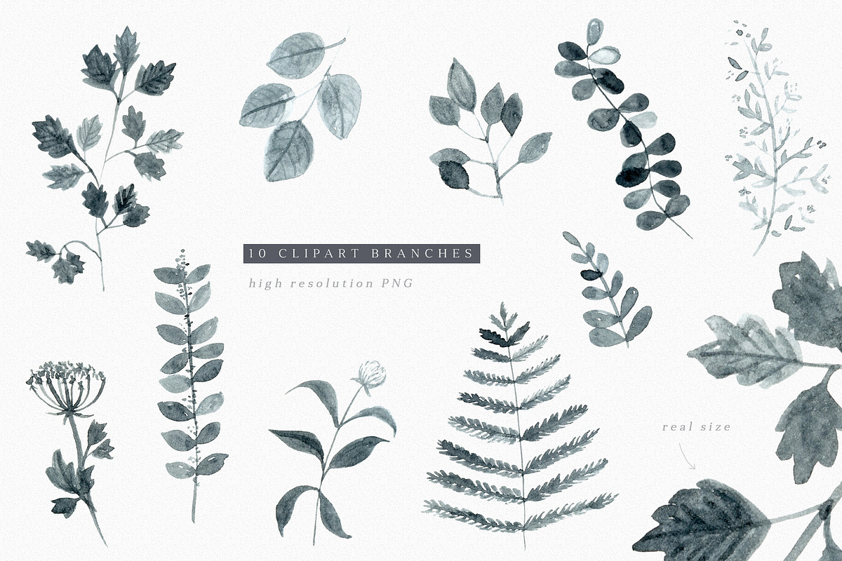 Monochrome Forest pattern collection, a Pattern Graphic by Inna Moreva (Photo 7 of 10)