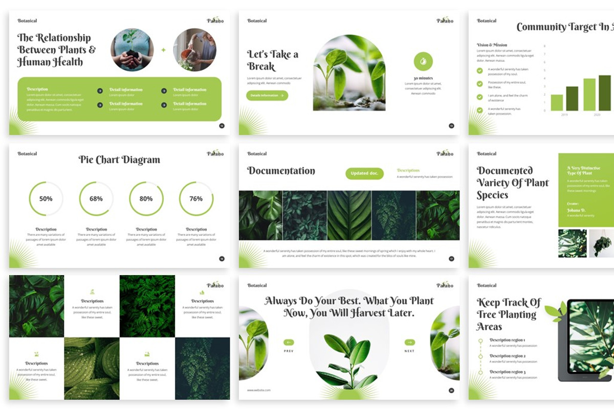 Palano - Botanical Goolge Slides, a Presentation Template by SlideFactory (Photo 3 of 4)