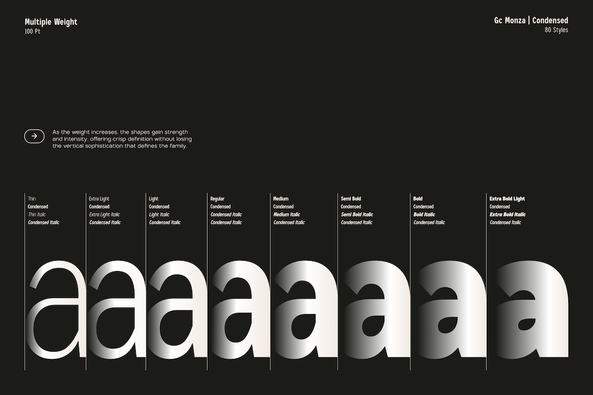 GC Monza - Complex Modern Sans, a Sans Serif Font by Glyphonic (Photo 7 of 31)