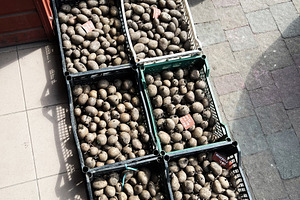 Crates filled with fresh potatoes on a paved store entrance under sunlight, a Photo by AS photostudio