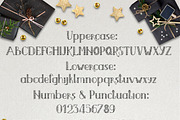 MERRY LIGHTS - Christmas font, a Script Font by Yashroom (Thumbnail 7 of 7)