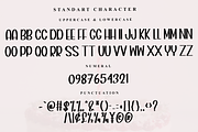December Notebook, a Serif Font by FreshTypeINK (Thumbnail 2 of 7)