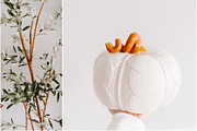 Farmhouse Fall Styled Stock Photos, a Holiday Photo by LaPorte Images (Thumbnail 9 of 12)