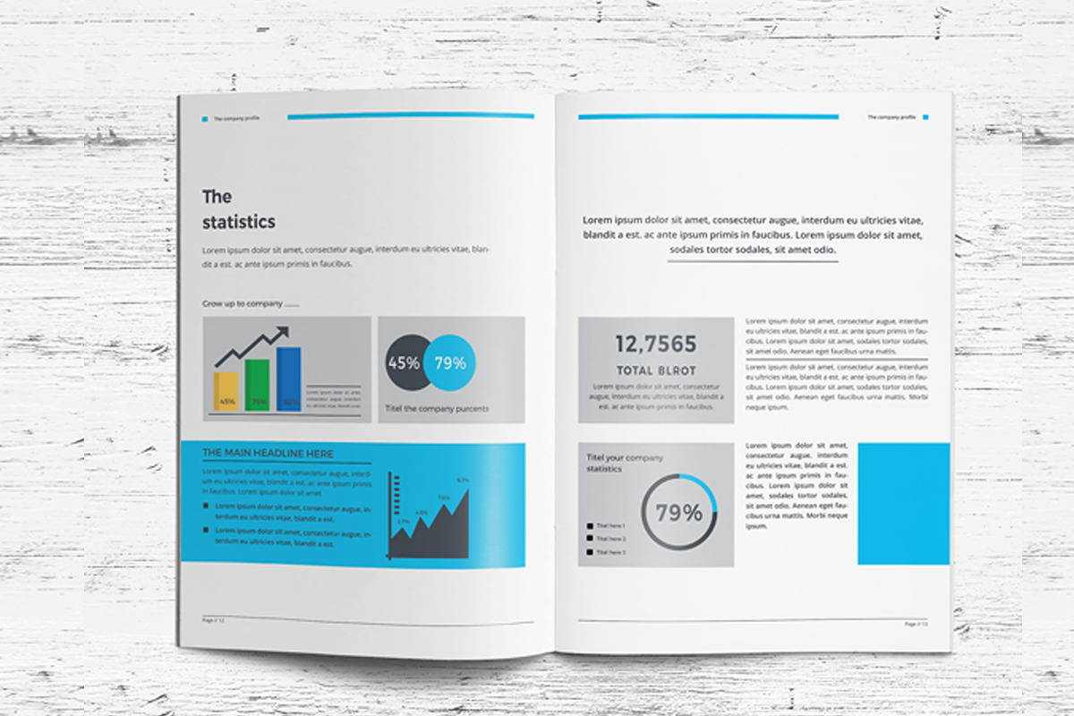 Company Profile, a Brochure Template by obidullah_01 (Photo 7 of 8)