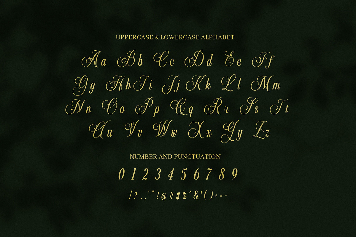 Arvina Wedding Script Font, a Script Font by Elegant Font (Photo 8 of 8)