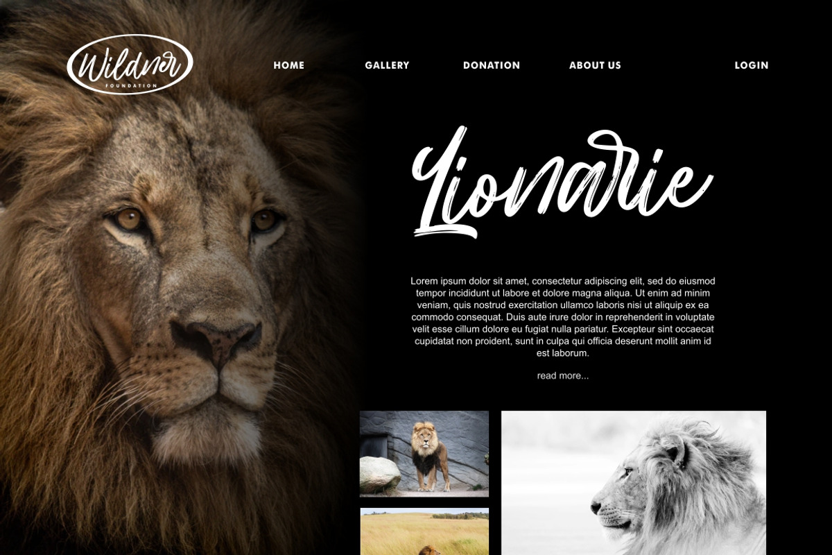 Hillbear - Handbrush Script Font, a Script Font by StringLabs (Photo 7 of 7)