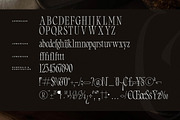 Clamofte Modern Stylish Serif, a Serif Font by Letterena Studios (Thumbnail 13 of 15)