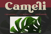 Givani - A cute retro serif, a Serif Font by Khoir (Thumbnail 4 of 13)