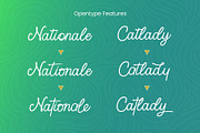 Cotieleny, a Handwritten Font by MERCURIAL (Thumbnail 8 of 12)
