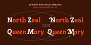 Rogliano Pro, a Slab Serif Font by Untype (Thumbnail 13 of 26)