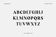 Stonewaller Modern Serif Font, a Serif Font by UICreative (Thumbnail 9 of 12)