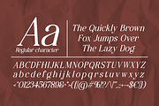 Velmora - Luxury Serif Font, a Serif Font by Luna Shop (Thumbnail 3 of 9)