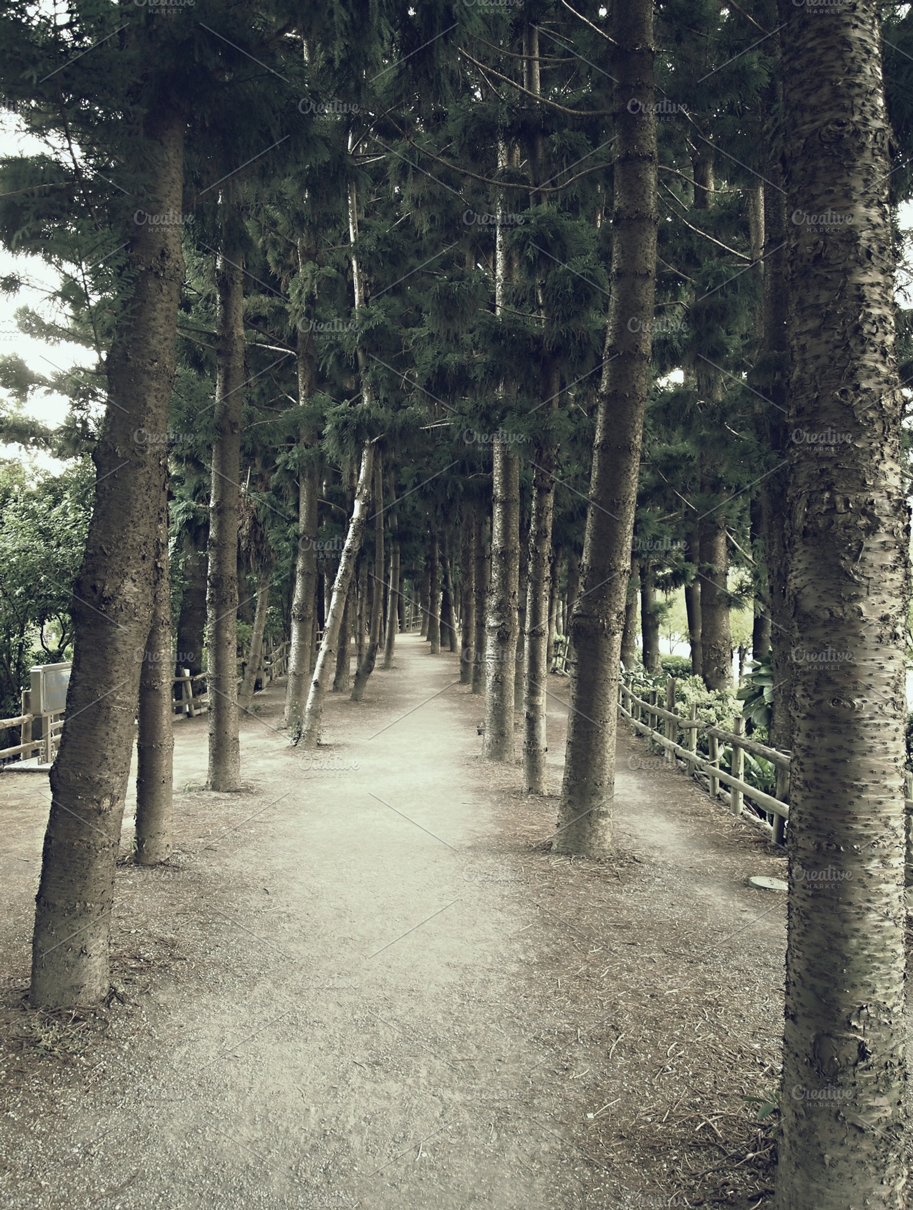 Park Path