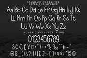 Special Monthly, a Sans Serif Font by FreshTypeINK (Thumbnail 8 of 8)
