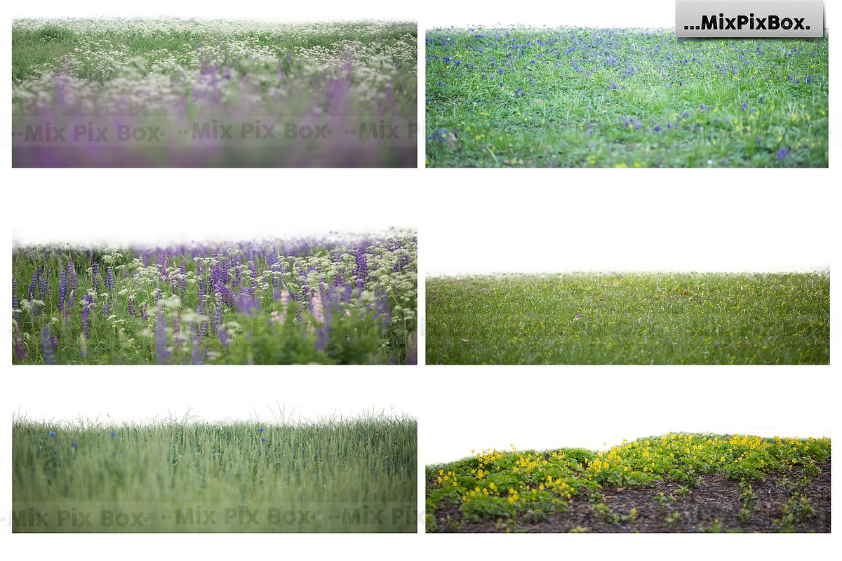 Flowers and Grass Overlays, an Object Graphic by MixPixBox (Photo 5 of 6)