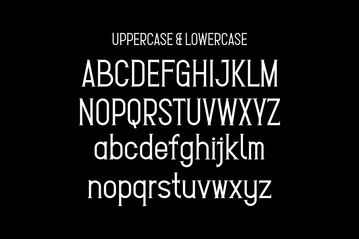 Setrin - Serif Font, a Serif Font by lelevien (Photo 3 of 4)