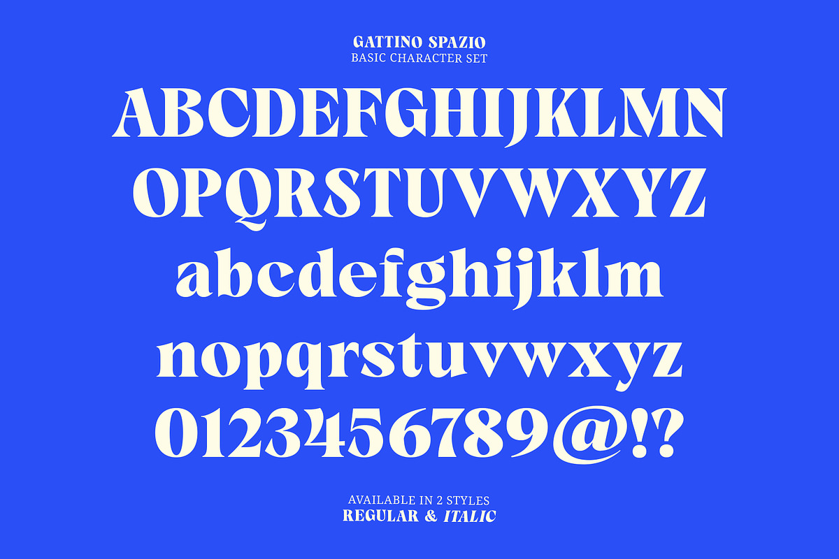 Gattino Spazio - Bold Serif Typeface, a Serif Font by Mbonster Design Studio (Photo 17 of 20)
