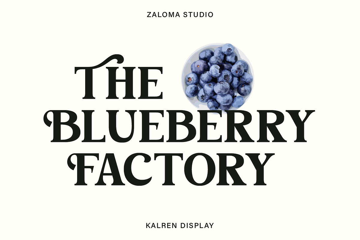 Kalren Display, a Serif Font by Zaloma Studio (Photo 3 of 13)