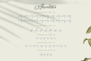 The Virnature Nature Script, a Script Font by alit design (Thumbnail 13 of 18)