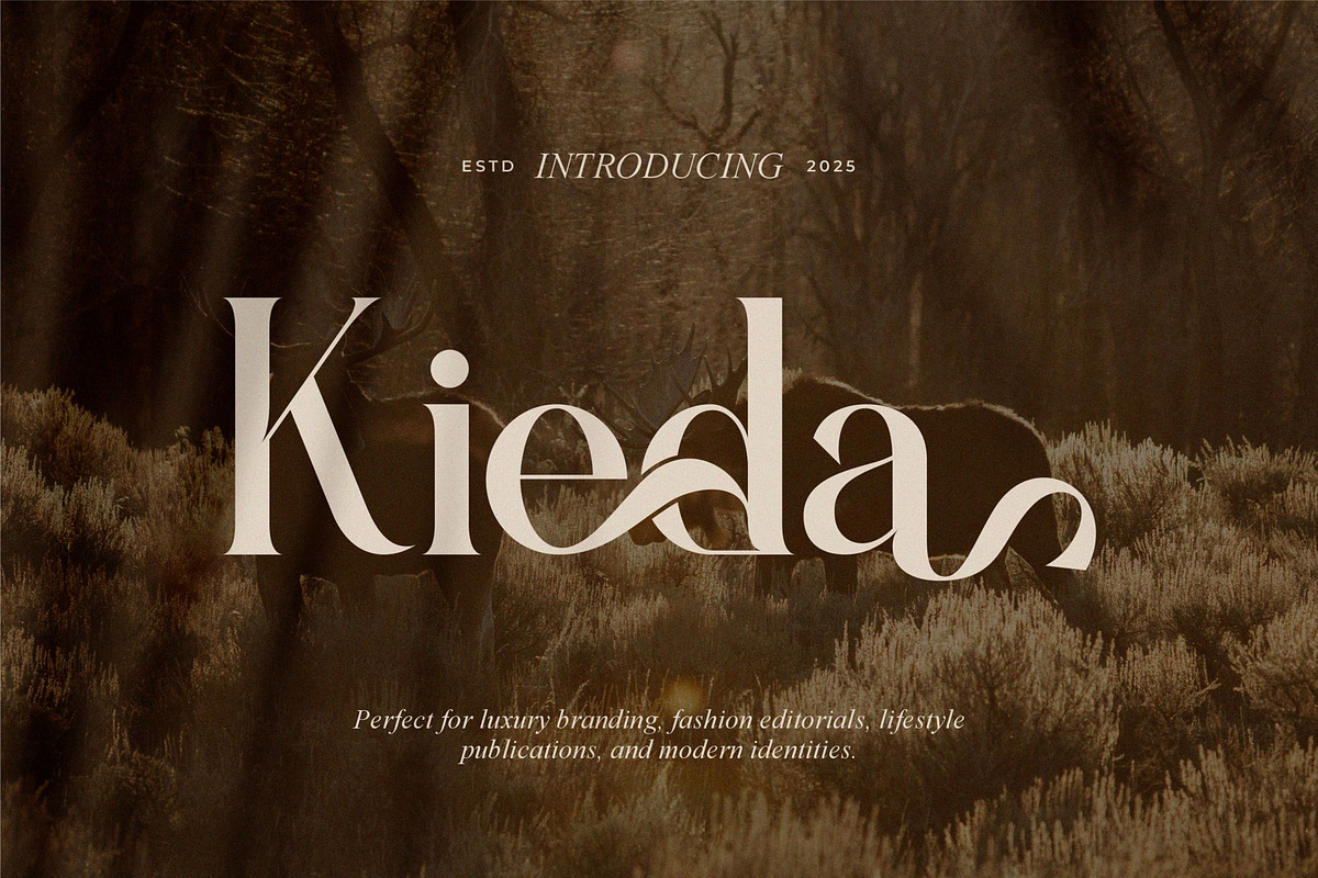Kieda || Modern Classy Serif Font, a Serif Font by Ermedia Studio (Photo 1 of 10)