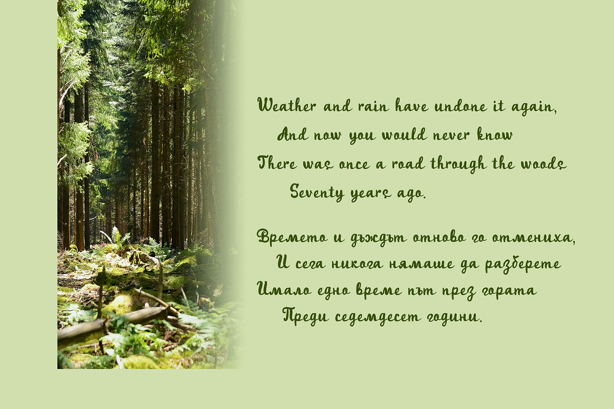Fanny Echo Cyrillic Script font, a Script Font by IraDvilyuk (Photo 6 of 10)