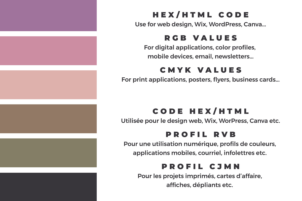 Color Palette + 12 Instagram icons, a Solid Icon by Akwadesign (Photo 4 of 5)