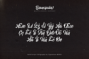 Brancifolia, a Script Font by ilhamtaro (Thumbnail 9 of 11)