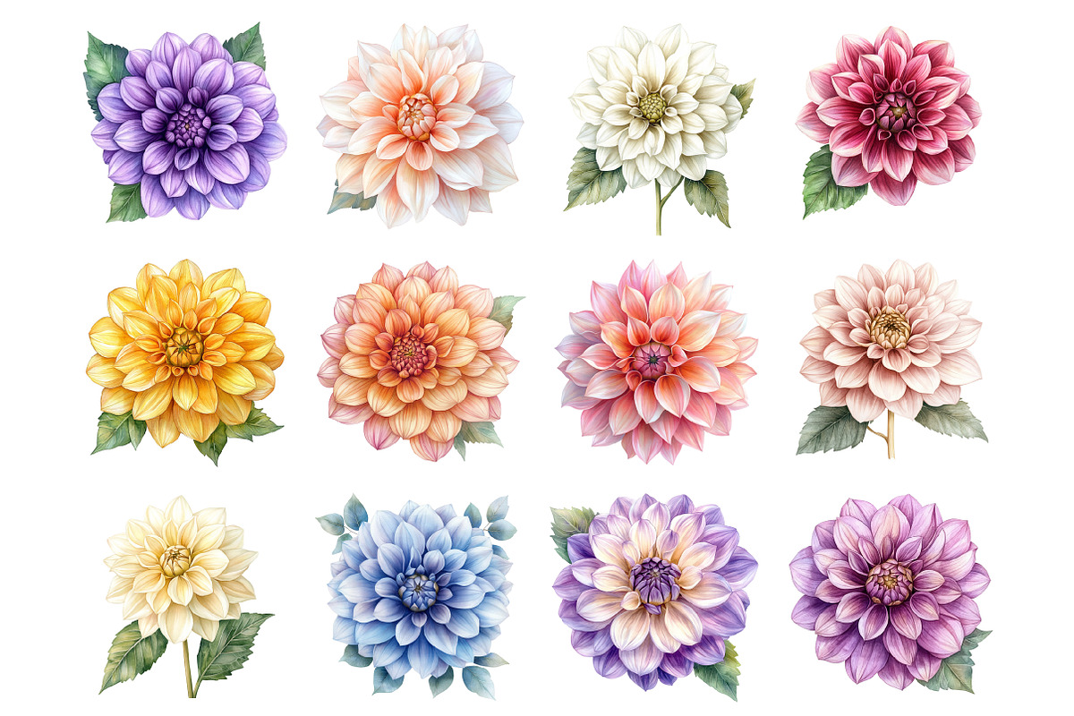 Watercolor Dahlia Clipart, a Seasonal Illustration by Design Market (Photo 2 of 4)