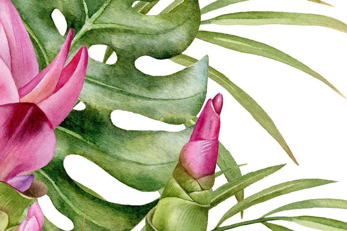 Watercolor tropical arrangements., an Illustration by Mary (Photo 3 of 4)