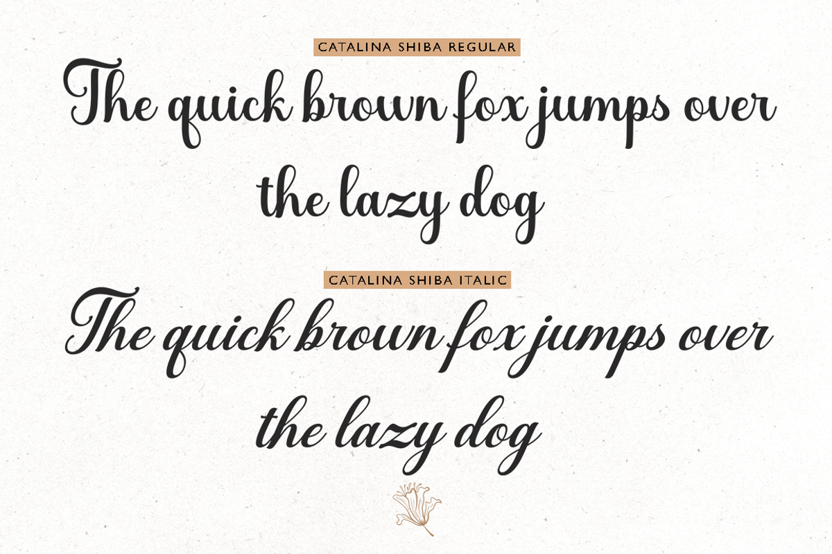 Catalina Shiba, a Script Font by Suza Studio (Photo 8 of 8)